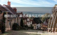 爆款追踪！幕后故事探花视频沉浸观影