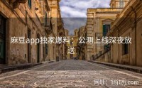 麻豆app独家爆料：公测上线深夜放送