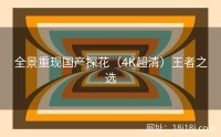 全景重现国产探花（4K超清）王者之选