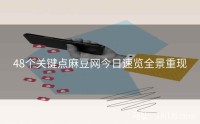 48个关键点麻豆网今日速览全景重现