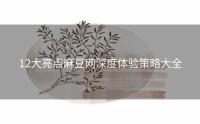 12大亮点麻豆网深度体验策略大全