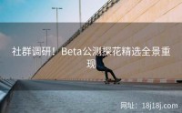 社群调研！Beta公测探花精选全景重现