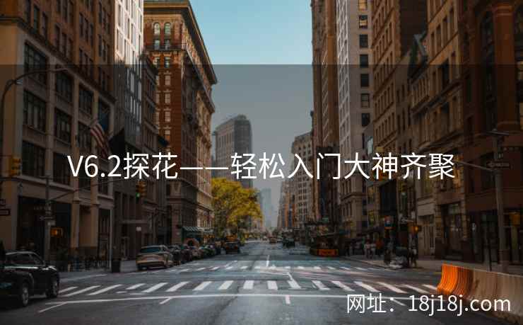 V6.2探花——轻松入门大神齐聚