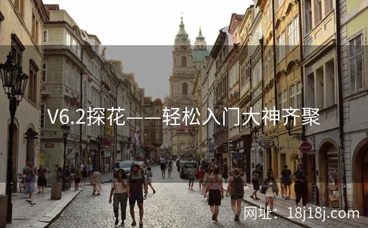 V6.2探花——轻松入门大神齐聚