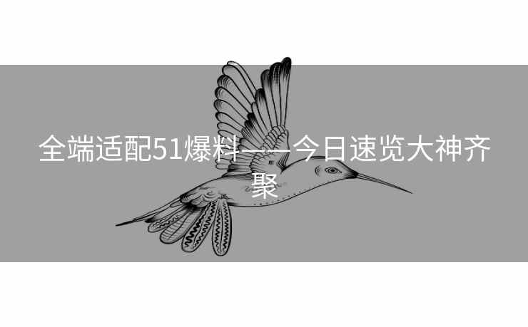 全端适配51爆料——今日速览大神齐聚
