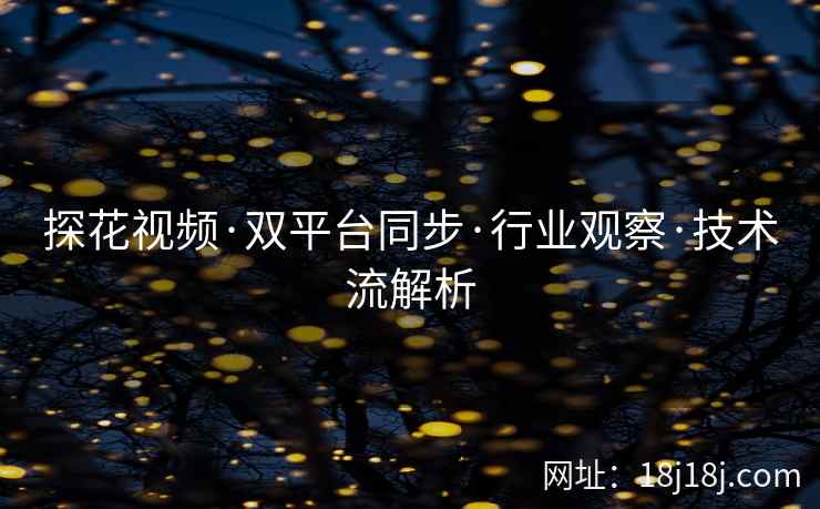 探花视频·双平台同步·行业观察·技术流解析 探花视频·双平台同步·行业观察·技术流解析