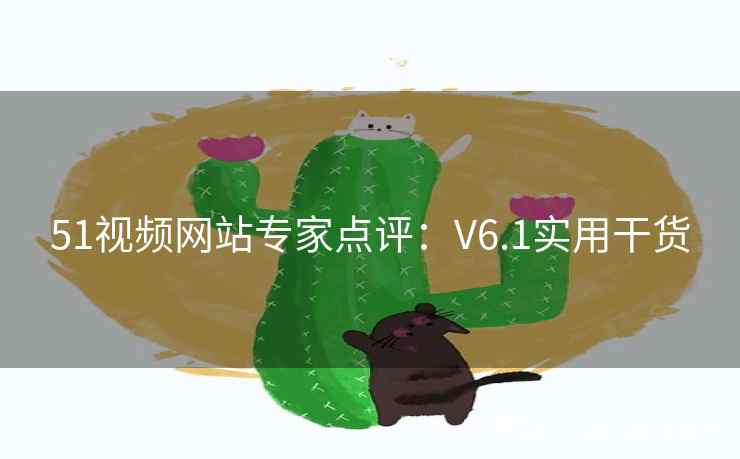 51视频网站专家点评：V6.1实用干货