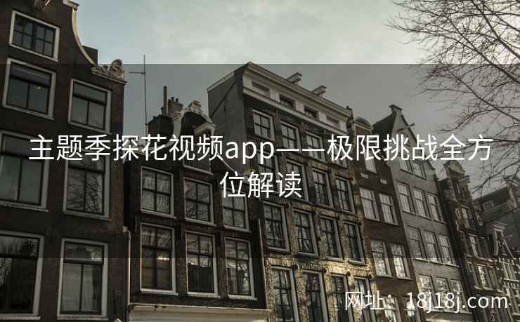 主题季探花视频app——极限挑战全方位解读