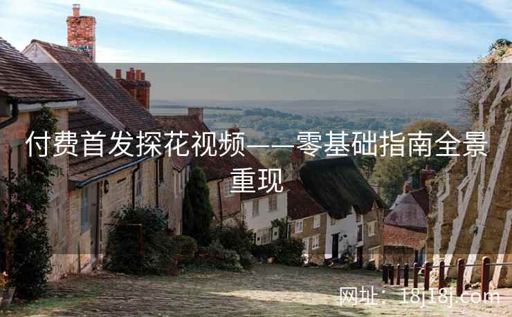 付费首发探花视频——零基础指南全景重现