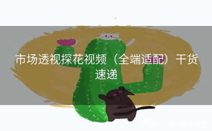 市场透视探花视频（全端适配）干货速递