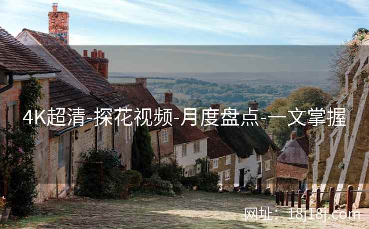 4K超清-探花视频-月度盘点-一文掌握