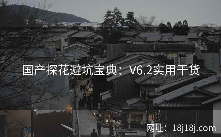 国产探花避坑宝典：V6.2实用干货