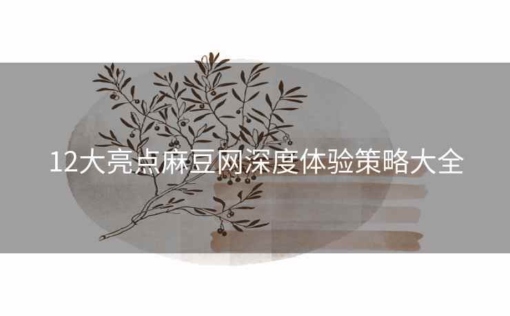 12大亮点麻豆网深度体验策略大全