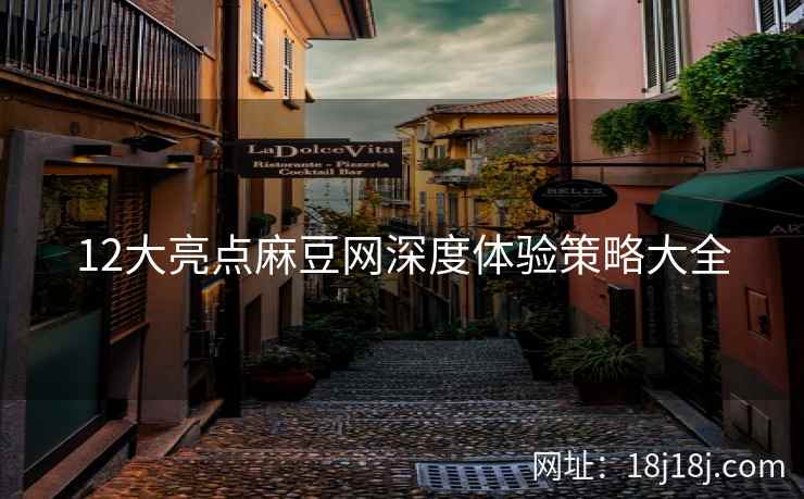 12大亮点麻豆网深度体验策略大全