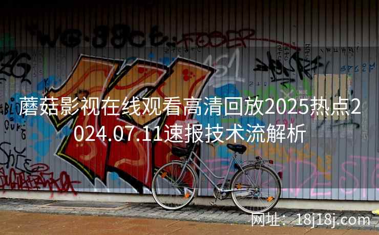 蘑菇影视在线观看高清回放2025热点2024.07.11速报技术流解析