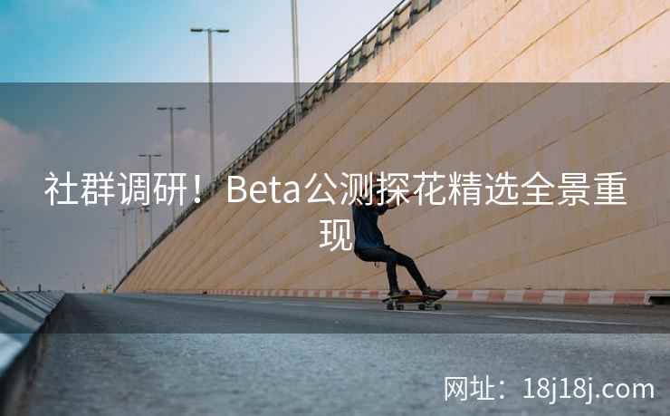 社群调研！Beta公测探花精选全景重现