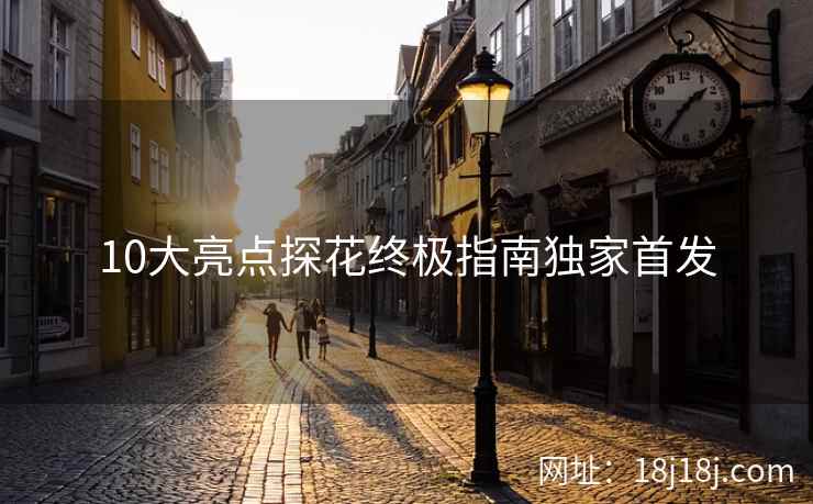 10大亮点探花终极指南独家首发 10大亮点探花终极指南独家首发