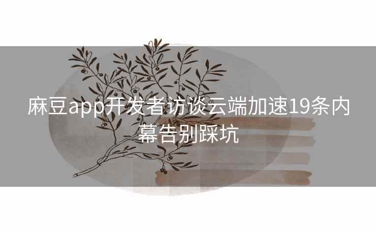 麻豆app开发者访谈云端加速19条内幕告别踩坑